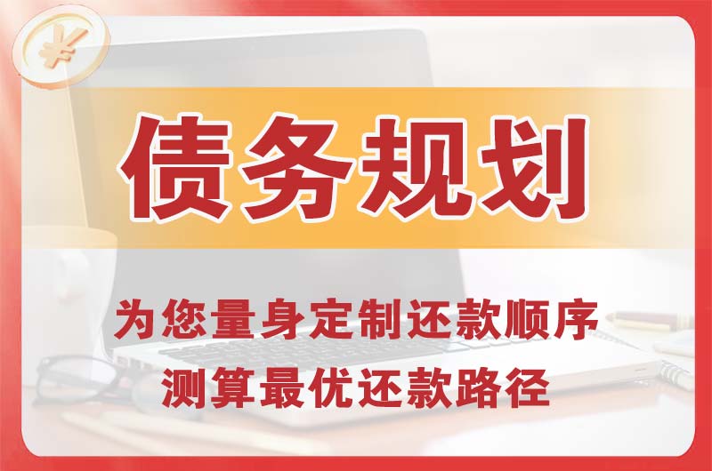 蜀山债务规划